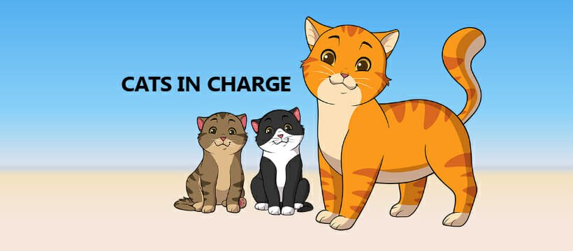 Cats in Charge Banner