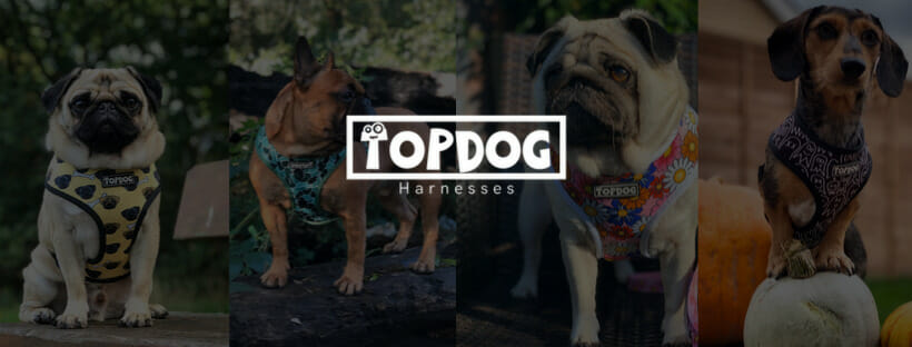 TopDog Harnesses Banner