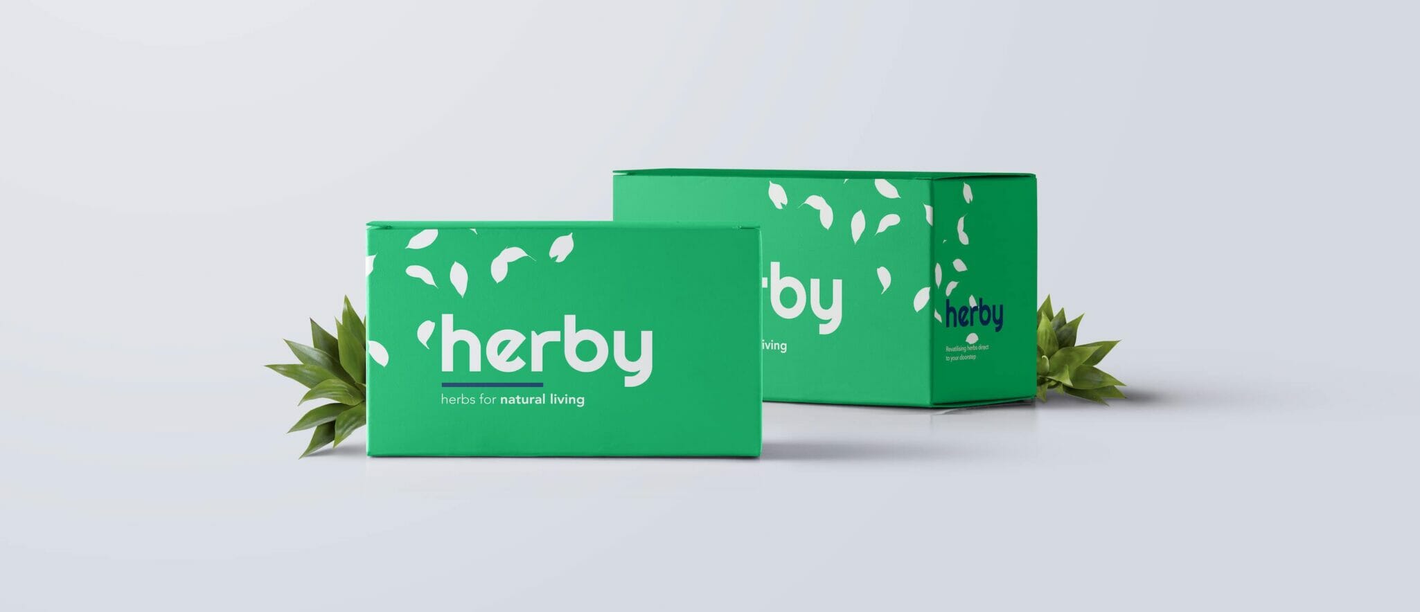 Herby Box Banner