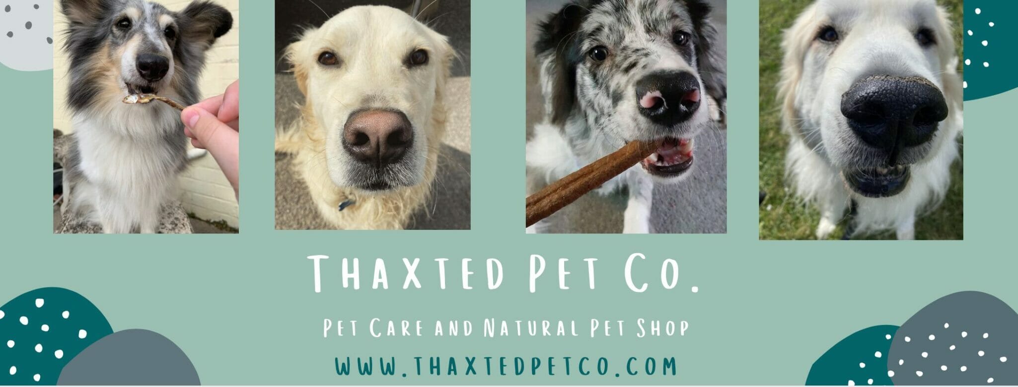 Thaxted Pet Co. Banner