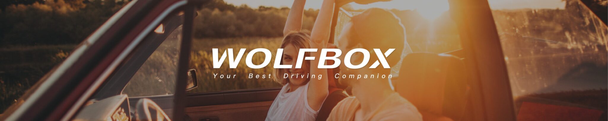 Wolfbox Banner