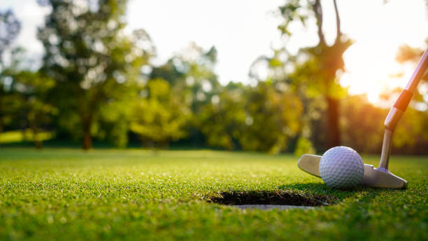 ATSG Golf - ATSG Golf 20% discount on full price items