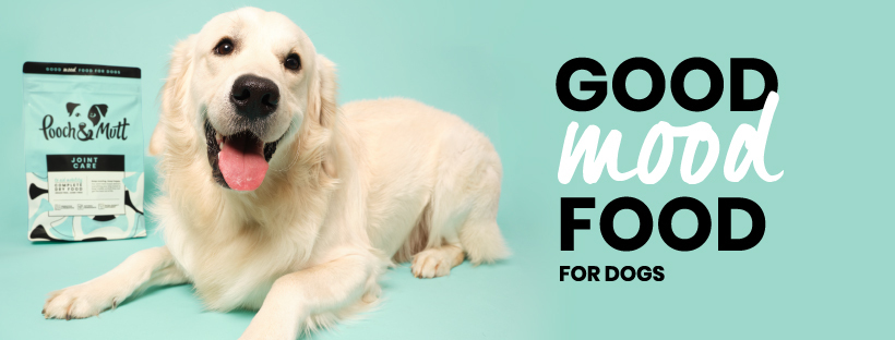 good mood food for dogs pooch and mutt